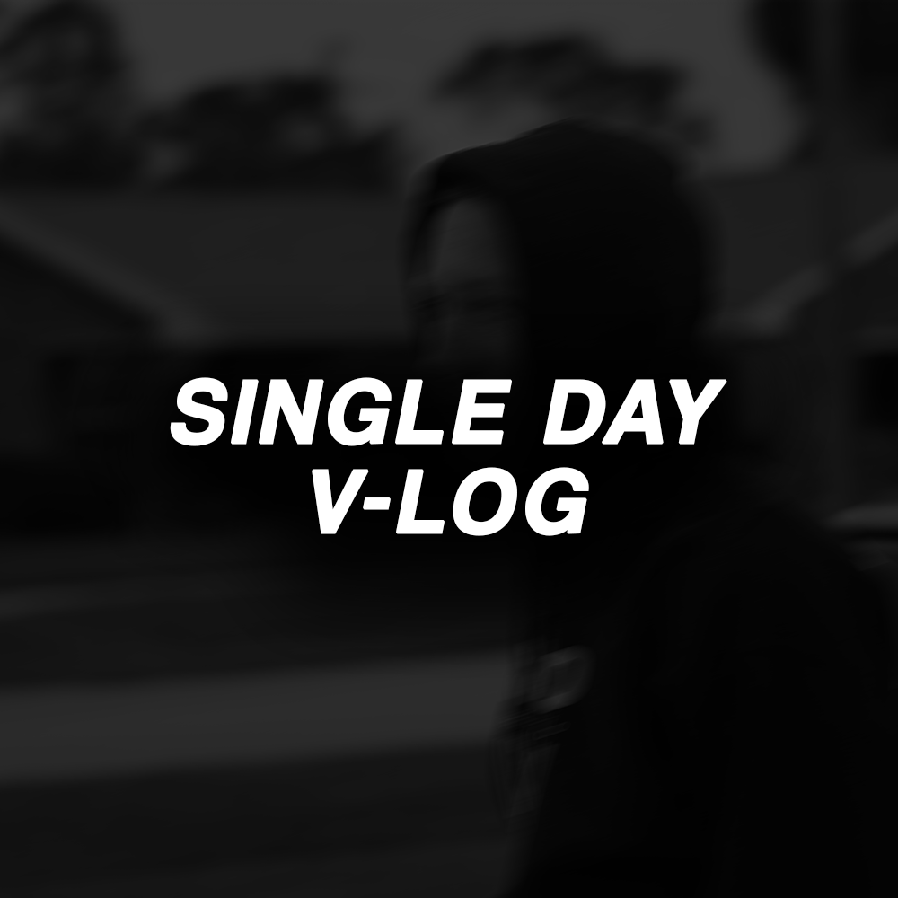 Single Day V-Log